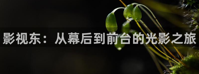 青苹果影院yy6090在线观看