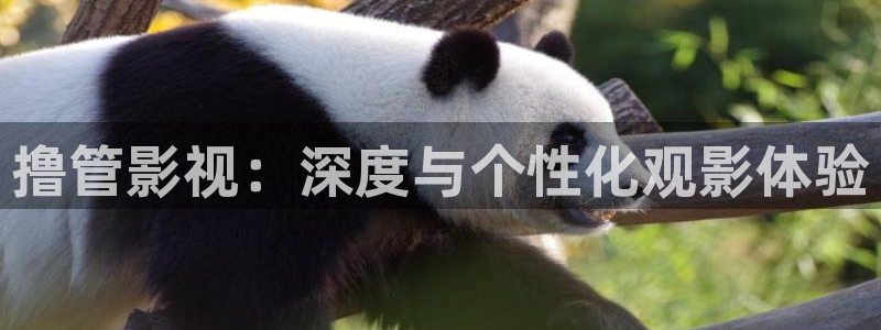 yy6090青苹果影院的播放量